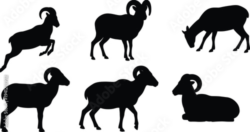 Ram and sheep silhouette set with different poses, wild mountain goat and horned livestock animals collection isolated on white background for wildlife design