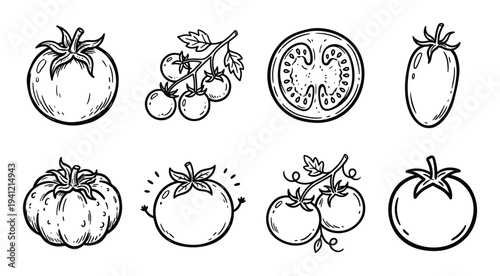 Collection of tomato sketches including cherry tomatoes and slices