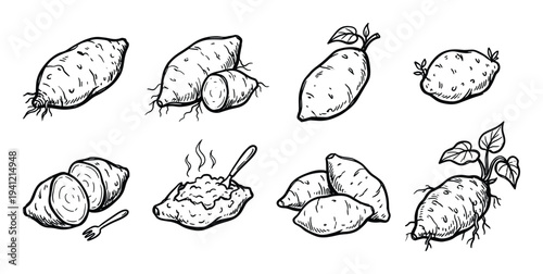 Collection of sweet potatoes and mashed sweet potato dish with fork on transparent background vector