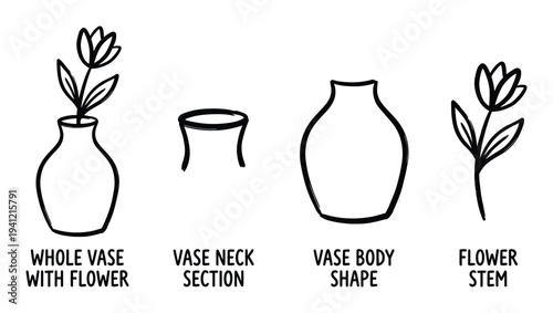 Outline illustration of whole vase with flower, vase neck section, vase body shape, and flower stem on transparent background