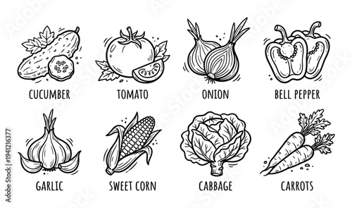 Set of hand drawn vegetables and ingredients including cucumber tomato onion bell pepper garlic sweet corn cabbage and carrots