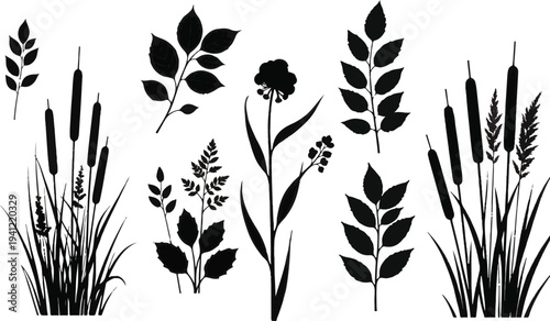 Black silhouettes of various plants and reeds