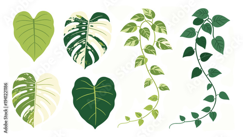 A vibrant set elements various tropical foliage collection with diverse green leaf illustrations for botanical design projects