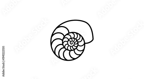 Nautilus Shell Spiral Fibonacci Sequence Outline