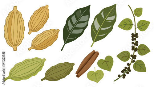 Illustrative set of vibrant tropical spices and foliage fresh cardamom, bay leaves, black pepper, and warm cinnamon sticks for culinary arts