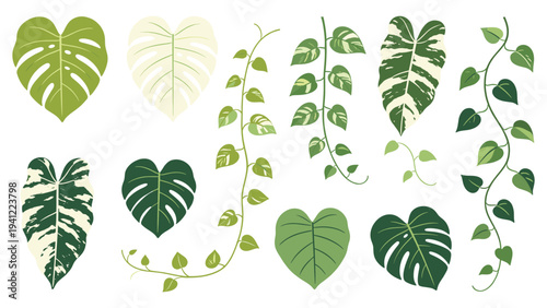 Exotic Houseplant Leaves Collection Diverse Tropical Foliage Vector Set for Interior Decor and Botanical Designs