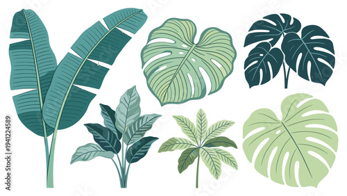 Diverse set of elements showcasing various tropical foliage collection, botanical jungle plant leaves vector art