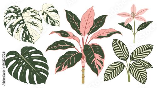 A vibrant botanical collection of various tropical foliage elements, showcasing exotic houseplants and decorative plant varieties