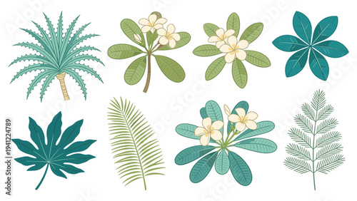 Vibrant set elements featuring various tropical foliage collection; diverse exotic leaves and blooming flowers for design projects