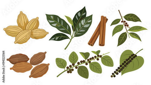 Diverse set elements of tropical foliage collection showcasing various natural spices and culinary ingredients
