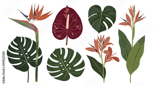 Set elements various tropical foliage collection with vibrant exotic flowers and lush green leaves, ideal for summer design projects