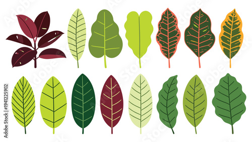 Illustrated set elements various tropical foliage collection, diverse botanical leaves and vibrant organic shapes
