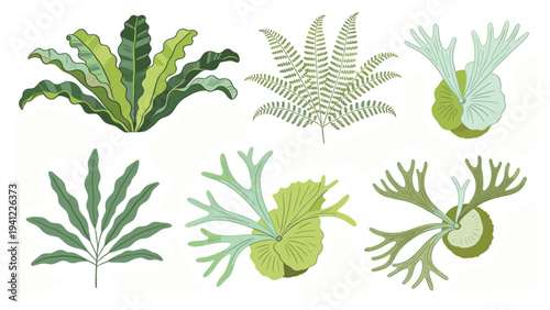Set of various tropical foliage elements collection, diverse green plants design components on white background