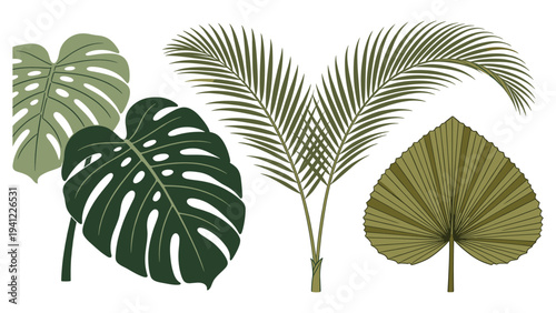 A vibrant collection of various tropical foliage elements, perfect for design projects and creating lush summer themes