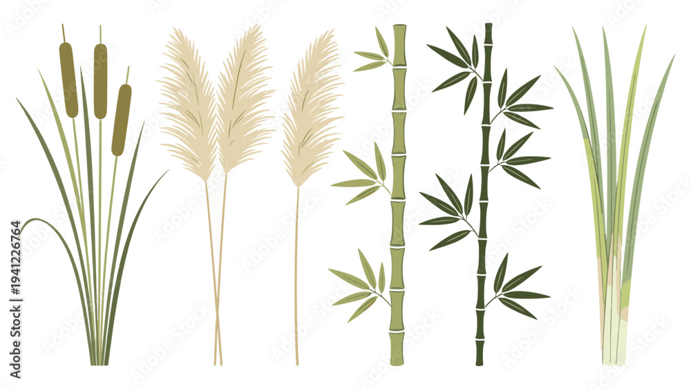 Obraz premium Diverse botanical set elements featuring various tropical foliage cattails, pampas grass, bamboo stalks, and green reeds vector illustration