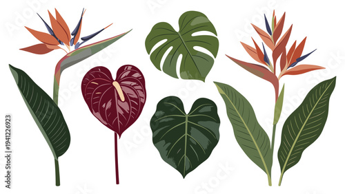 A stunning collection of various tropical foliage elements, featuring exotic flowers and diverse green leaves, illustration set