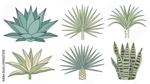 A diverse set elements various tropical foliage collection showcasing elegant desert and exotic plant illustrations