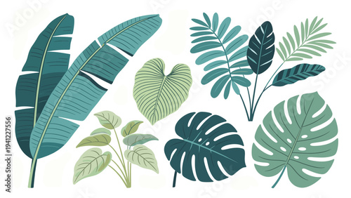 Vibrant collection of various stylized tropical foliage elements for exotic designs and natural botanical backgrounds