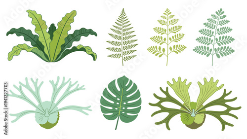 A vibrant collection of various tropical foliage elements, illustrating diverse green plant species for design projects