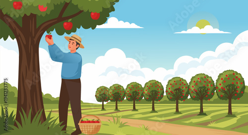 Harvesting Apples in an Orchard A Charming Vector Illustration of a Farmer Collecting Fruit