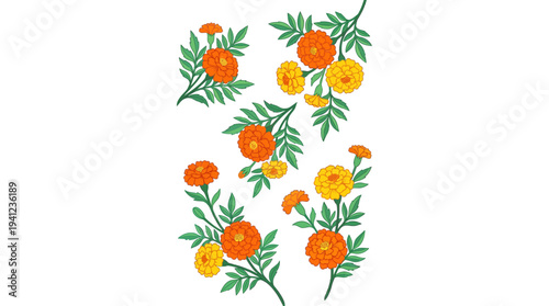 Watercolor botanical illustration of orange and yellow calendula flowers with green leaves on long stems, arranged vertically for decorative use