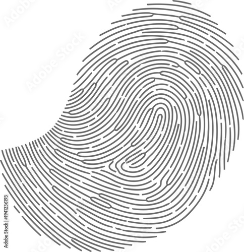 Fingerprint identification illustration