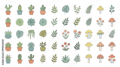 Collection of potted succulents, cacti, leafy sprigs, ferns, and whimsical mushrooms - botanical illustration set