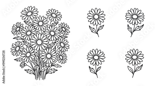 Detailed line drawing of a daisy bouquet with individual blossoms and stems in black and white