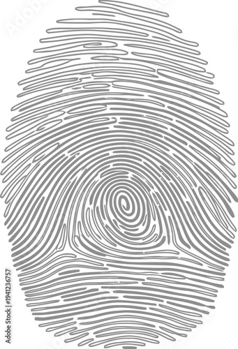 Detailed fingerprint illustration