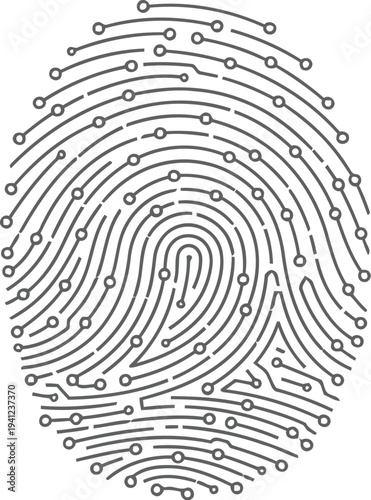 Detailed fingerprint illustration