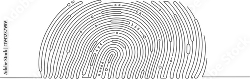Fingerprint pattern illustration