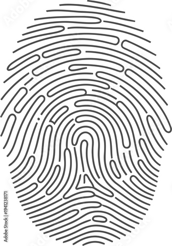 Fingerprint identification