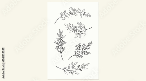 Delicate hand-drawn botanical sketches of leaves, sprigs, and floral stems in pencil on a light background for vintage-inspired design and stationery.