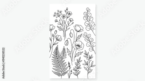 Delicate black-and-white botanical illustration of tall wildflowers, ferns and leafy stems rendered in intricate line art.