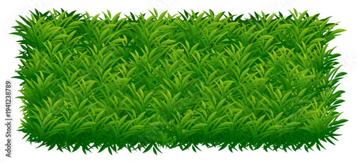 Green grass texture natural lawn banner background vector