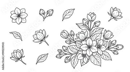 Detailed botanical line art of a blooming flower bouquet featuring roses and assorted blossoms with leaves
