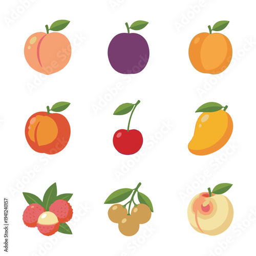 Stone fruits and lychee set with peach plum apricot cherry mango longan and litchi for sweet orchard harvest illustration.