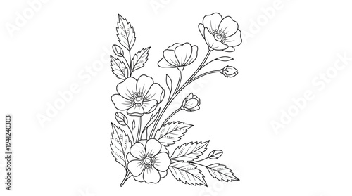 Detailed black and white botanical illustration of flowers, leaves, and stems in a graceful line drawing