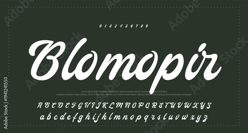 Script Brush Font Type Font lettering handwritten. vector illustration