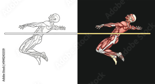 Detailed anatomical illustration of a human figure in dynamic motion, showcasing muscular structure and balance across two contrasting backgrounds.