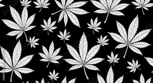 Cannabis leaves pattern on black background marijuana foliage design hemp leaf texture