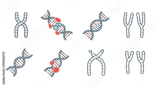 Medical illustration of dna strands and chromosomes in a scientific design