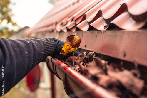 A person in black gloves picks up dry autumn leaves from a roof gutter. home maintenance, gutter cleaning, seasonal chore. Autumn.