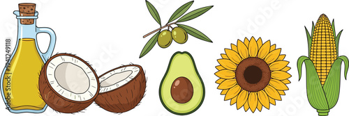 Organic Food Illustration Set with Olive Oil, Coconut, Avocado, Sunflower, and Corn for Healthy Diet, Farm Produce, and Natural Ingredient Design.