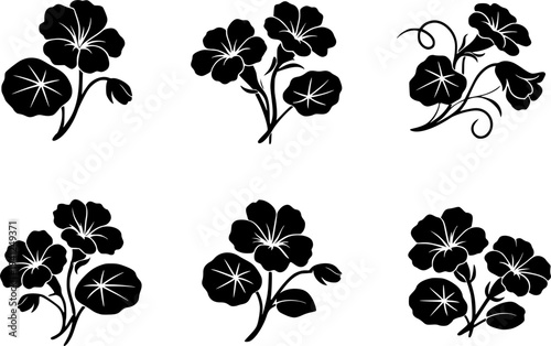 6 Premium Black Nasturtium Flowers Icons - Wedding & Botanical Graphic Elements. Vector Illustration. Design Element. Clip art. Suitable for artwork design. Editable for any design.