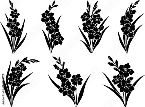 6 Premium Black Gladiolus Flowers Icons - Wedding & Botanical Graphic Elements. Vector Illustration. Design Element. Clip art. Suitable for artwork design. Editable for any design.