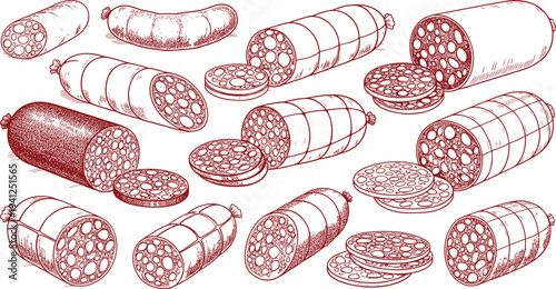 Set of various sausages and salami types both whole and sliced hand drawn sketch style vector illustration isolated on white background.
