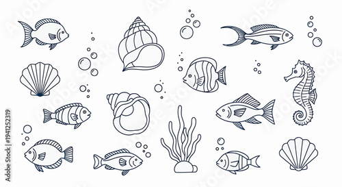 Sea Creatures Swimming Underwater Ocean Illustration