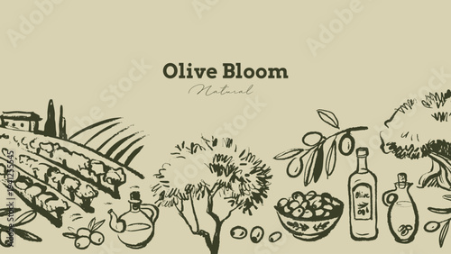 Vintage sketch olive background. Extra virgin, farm product, Mediterranean cuisine, cosmetic, organic farm, packaging label. Hand drawn crayon vector illustration.