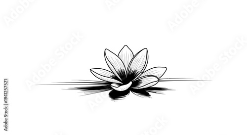 Elegant Lotus Flower Drawing on White Background, Zen and Serenity Symbol